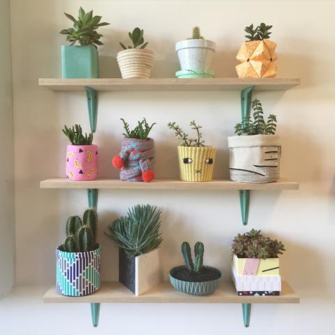 Plant Pot Exhibition
